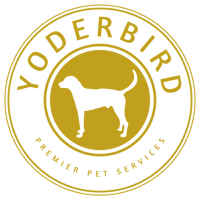 Yoderbird high res 2