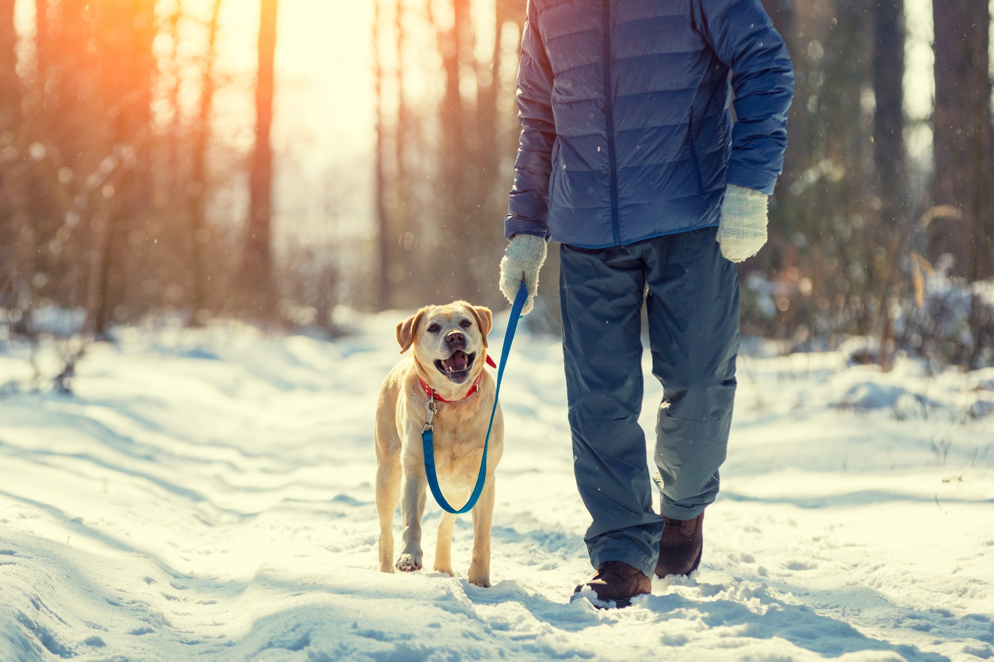 AdobeStock_192812873 AdobeStock_192812873